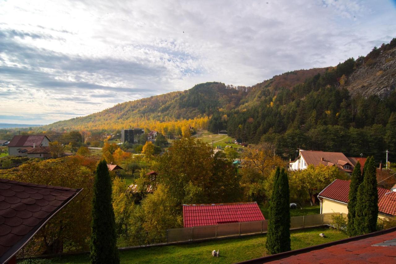 Вилла Casa Domneasca Байя-де-Фьер Экстерьер фото
