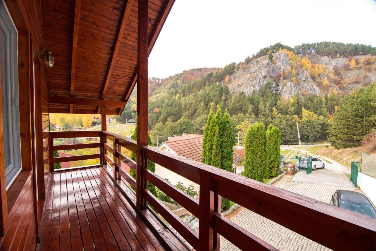 Вилла Casa Domneasca Байя-де-Фьер Экстерьер фото