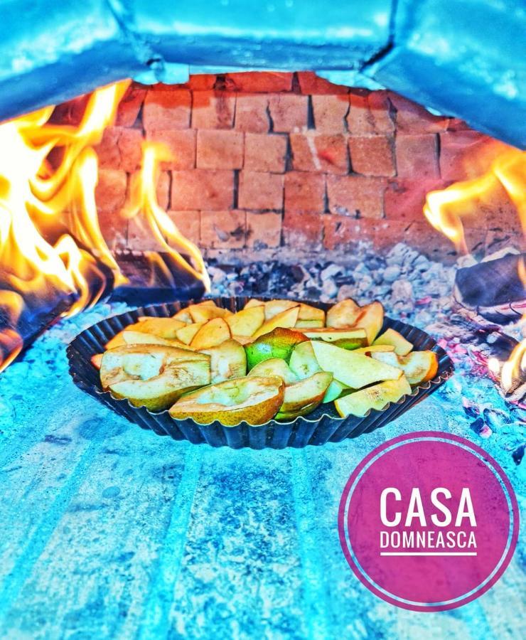 Вилла Casa Domneasca Байя-де-Фьер Экстерьер фото