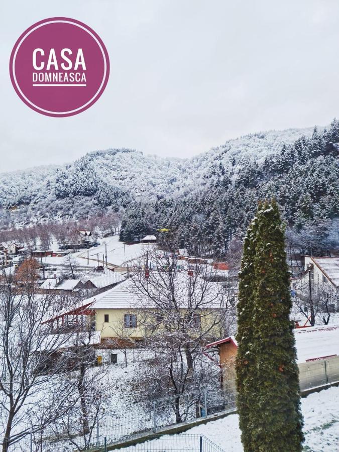 Вилла Casa Domneasca Байя-де-Фьер Экстерьер фото