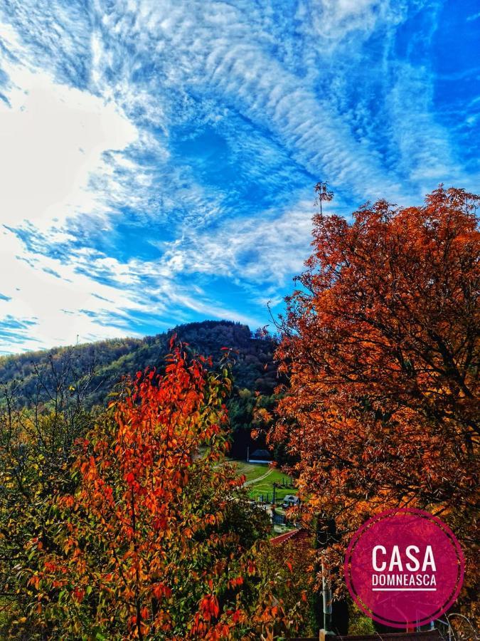 Вилла Casa Domneasca Байя-де-Фьер Экстерьер фото