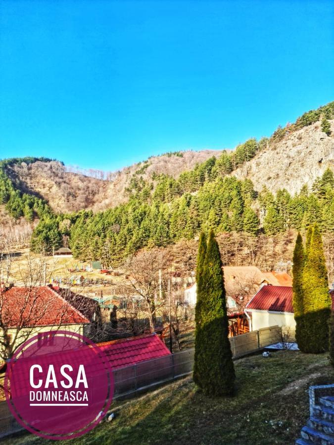 Вилла Casa Domneasca Байя-де-Фьер Экстерьер фото