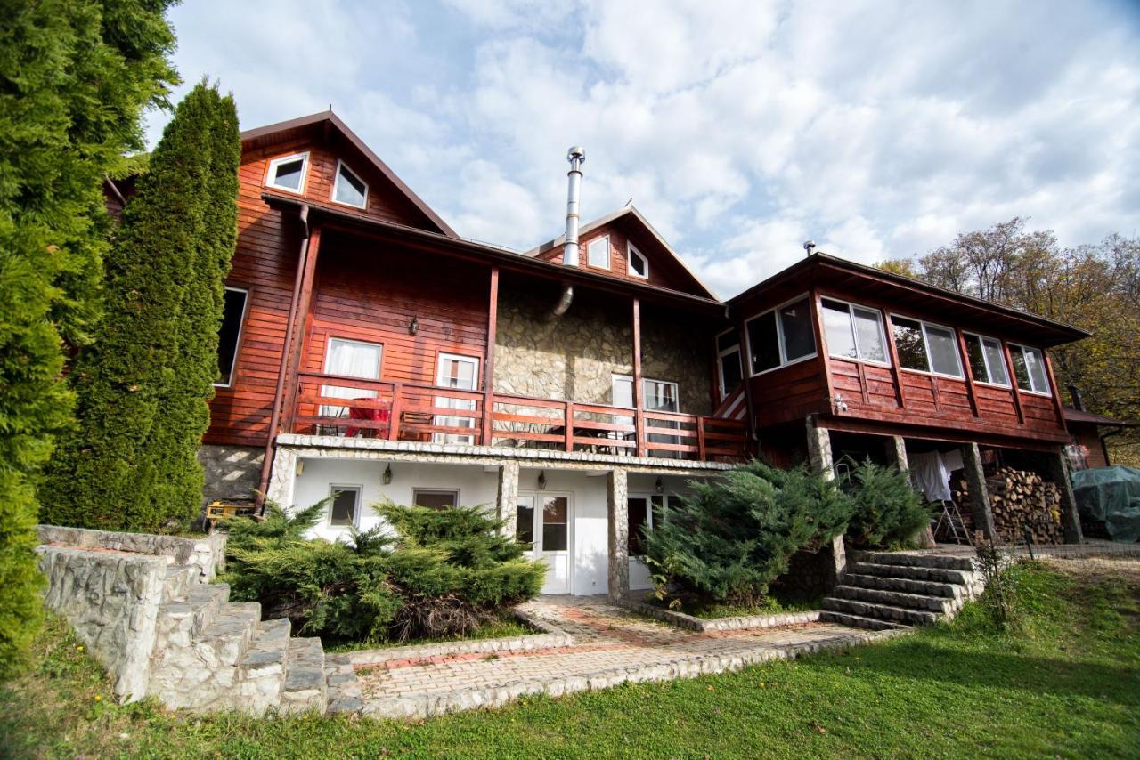 Вилла Casa Domneasca Байя-де-Фьер Экстерьер фото