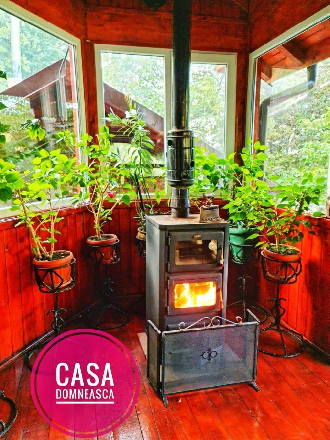 Вилла Casa Domneasca Байя-де-Фьер Экстерьер фото