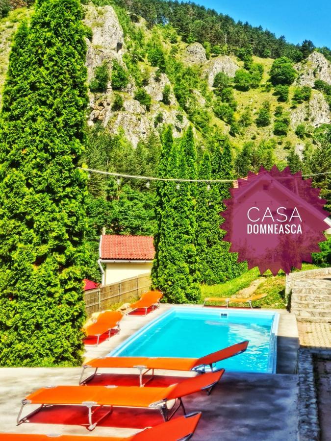 Вилла Casa Domneasca Байя-де-Фьер Экстерьер фото