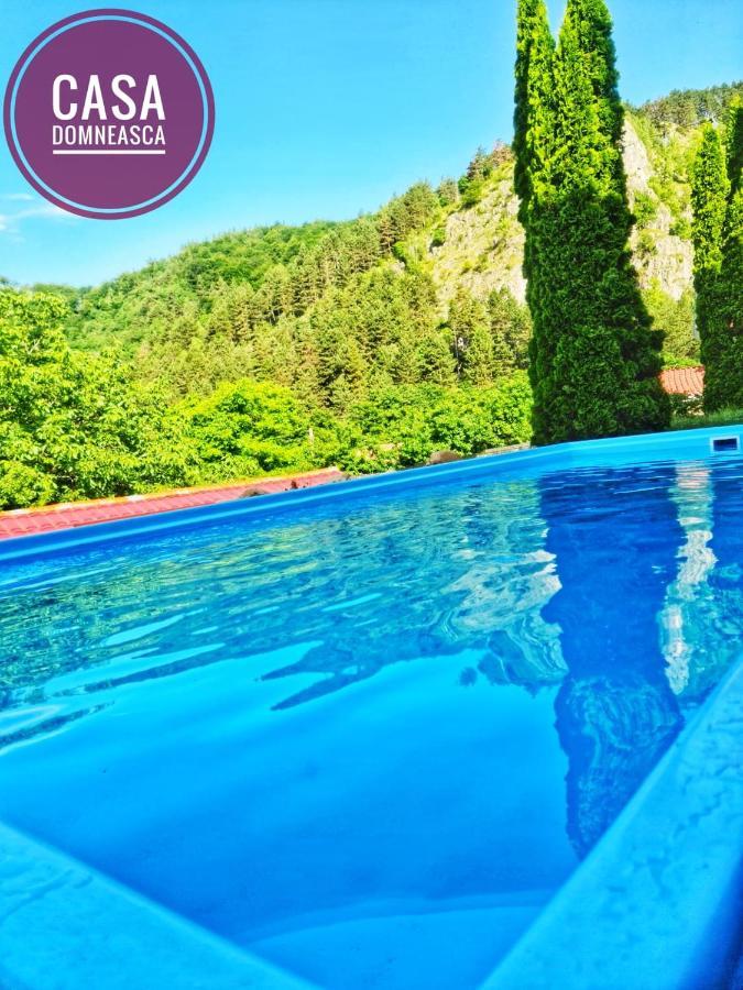 Вилла Casa Domneasca Байя-де-Фьер Экстерьер фото