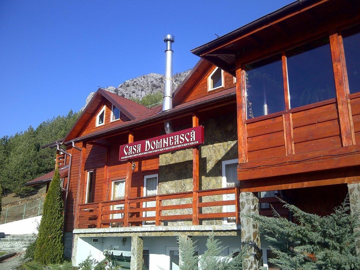 Вилла Casa Domneasca Байя-де-Фьер Экстерьер фото
